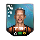 PEDRINHO