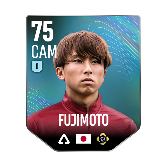 FUJIMOTO