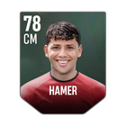 HAMER