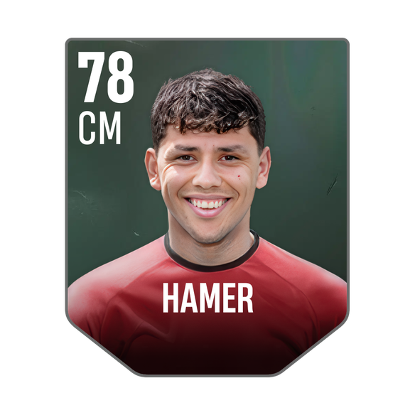 HAMER