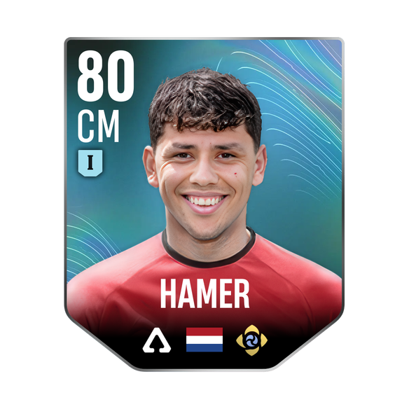 HAMER