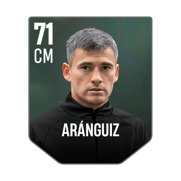 ARÁNGUIZ