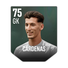 CÁRDENAS