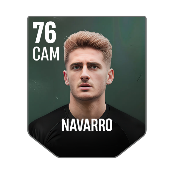 NAVARRO