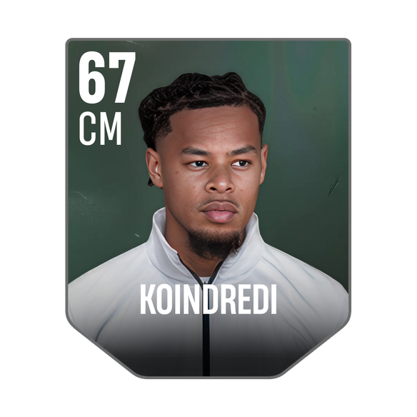 KOINDREDI