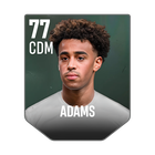 ADAMS