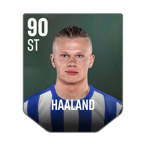 HAALAND