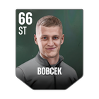 BOBCEK