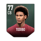 TODIBO