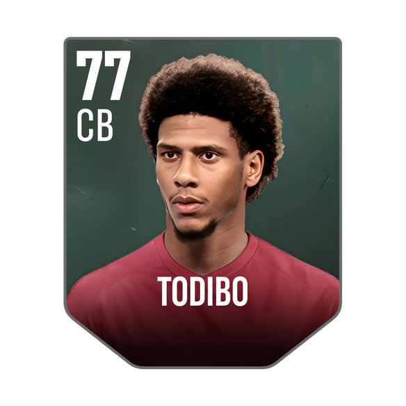 TODIBO