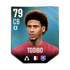 TODIBO